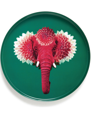 PLATEAU ROND PACHIII