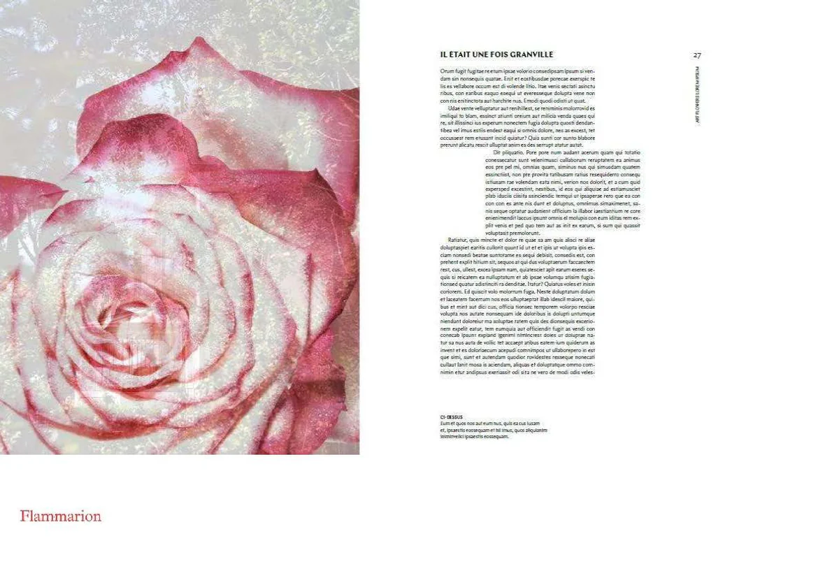 DIOR IN BLOOM - Image 3