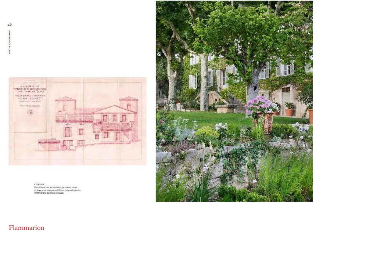 DIOR IN BLOOM - Image 2